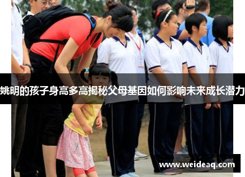 姚明的孩子身高多高揭秘父母基因如何影响未来成长潜力