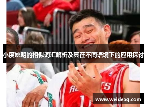 小度姚明的相似词汇解析及其在不同语境下的应用探讨