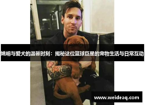 姚明与爱犬的温馨时刻：揭秘这位篮球巨星的宠物生活与日常互动