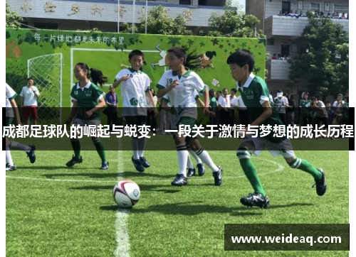 成都足球队的崛起与蜕变：一段关于激情与梦想的成长历程