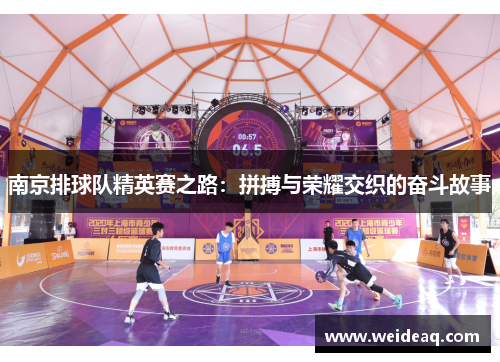 南京排球队精英赛之路：拼搏与荣耀交织的奋斗故事
