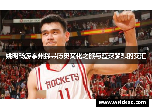 姚明畅游泰州探寻历史文化之旅与篮球梦想的交汇