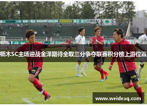 枥木SC主场迎战金泽期待全取三分争夺联赛积分榜上游位置